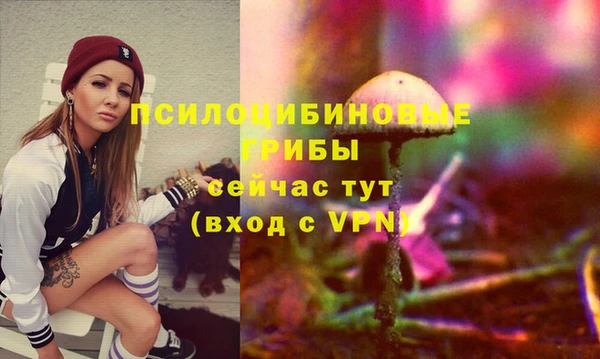 ПСИЛОЦИБИНОВЫЕ ГРИБЫ Чекалин