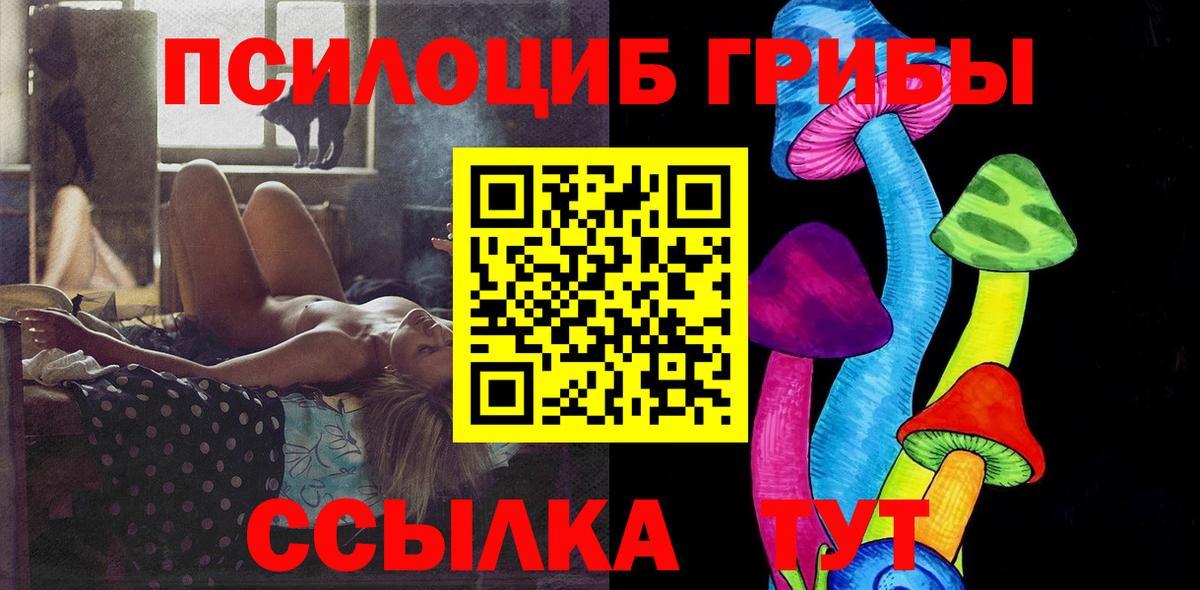 Стерлитамак  Галлюциногенные грибы Cubensis  Вход с VPN 