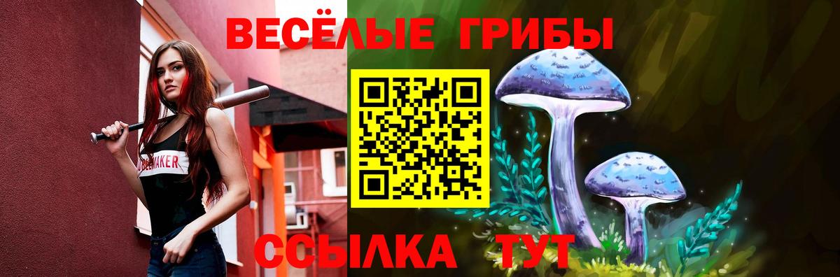 Псилоцибиновые грибы Cubensis Стерлитамак